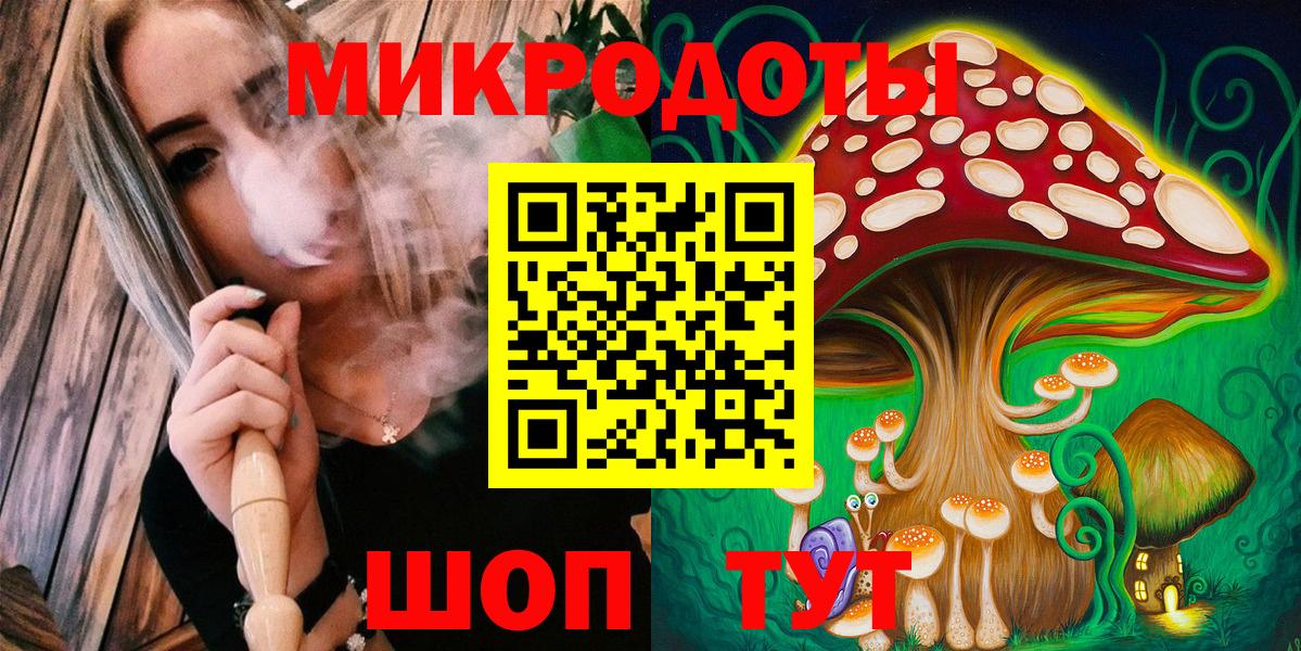 Кудрово  Псилоцибиновые грибы Psilocybine cubensis  Вход с VPN 
