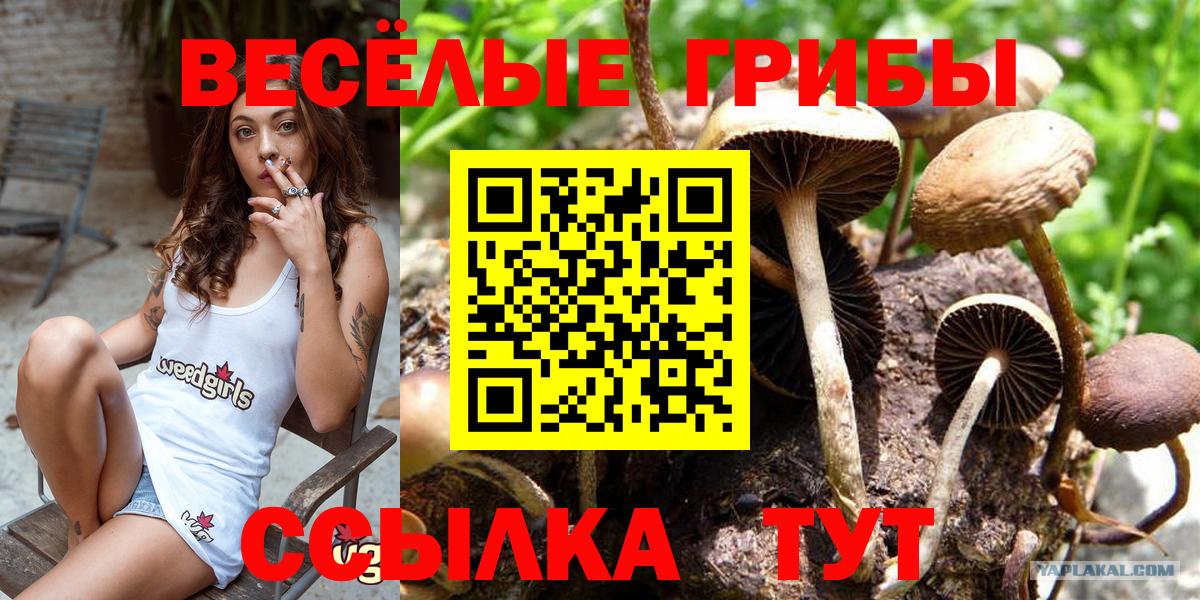 Псилоцибиновые грибы мухоморы Кудрово