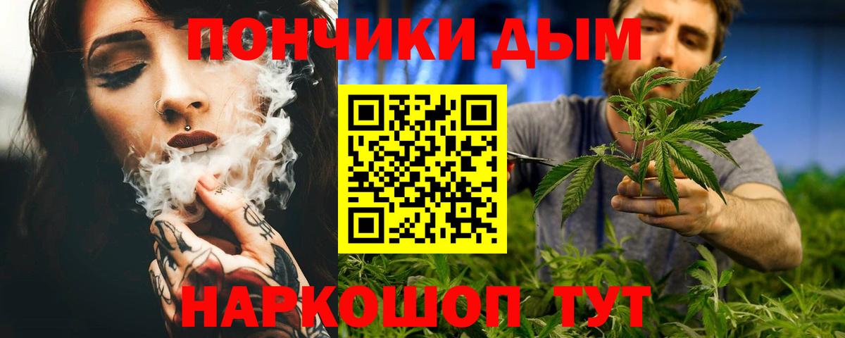 Бошки Шишки конопля Кудрово